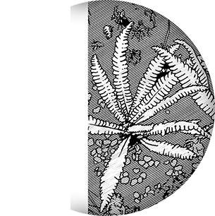 artwork example