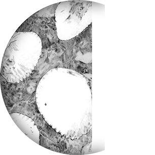 artwork example