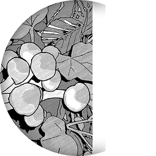 artwork example