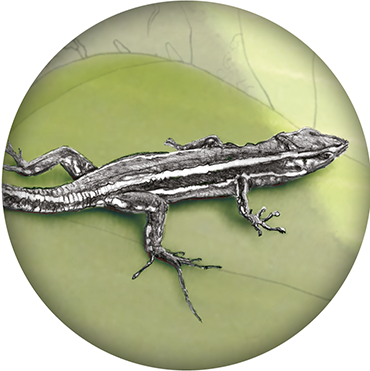 artwork example