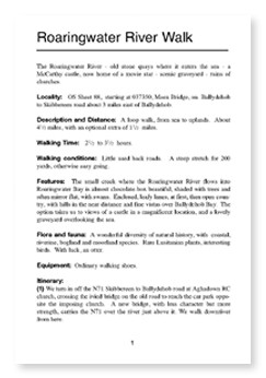 Page example
