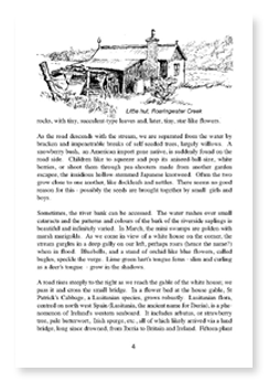 Illustration example