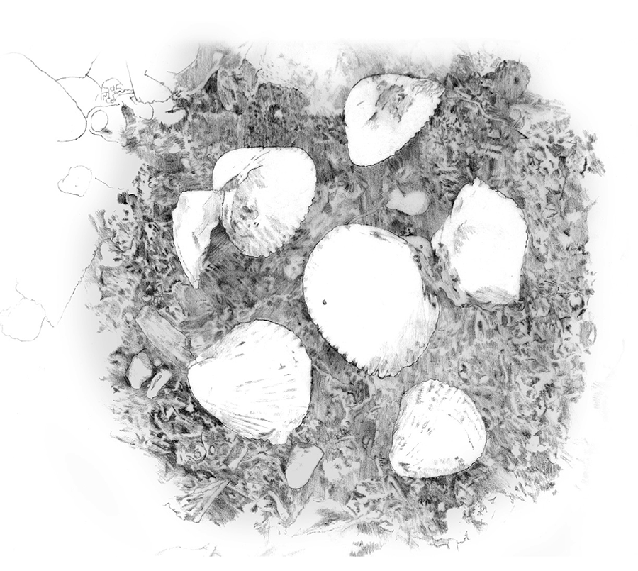 Illustration example
