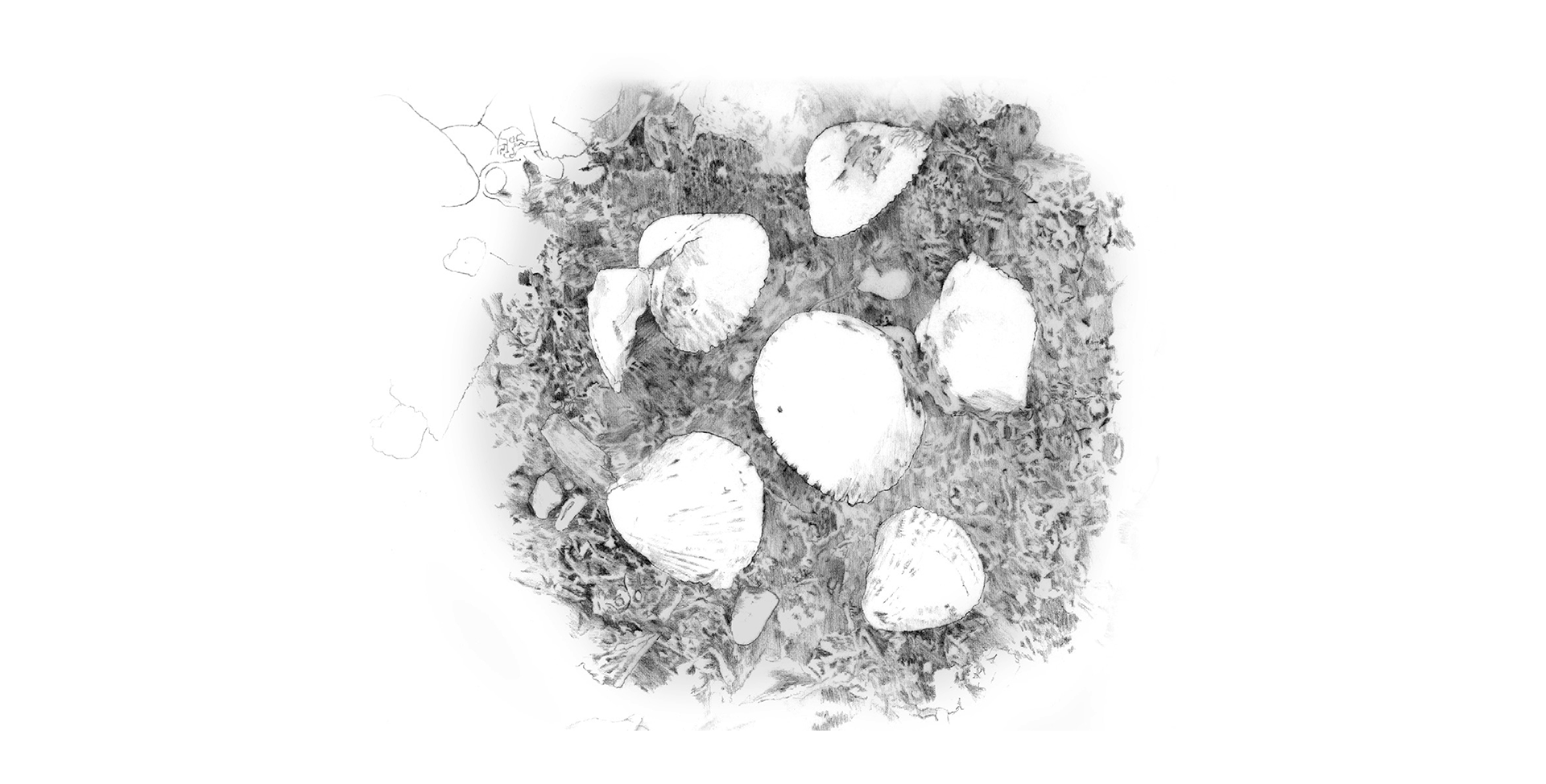 Illustration example
