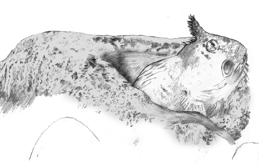 Illustration example