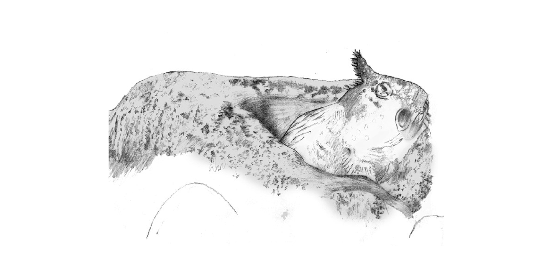 Illustration example