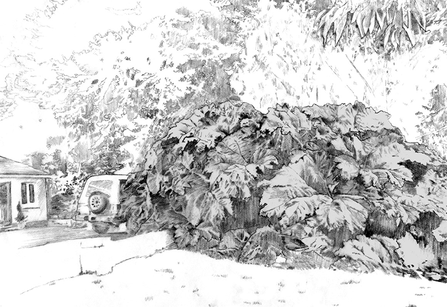 Illustration example