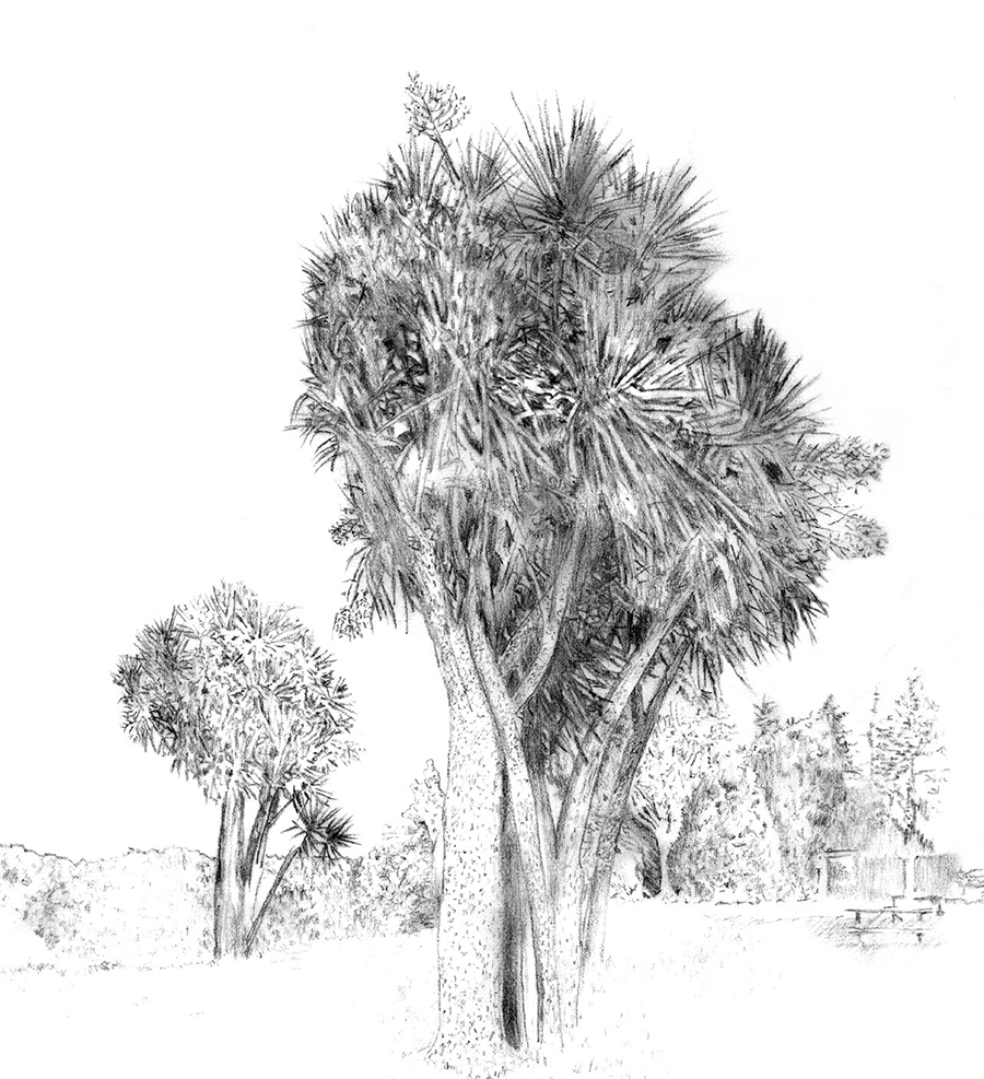 Illustration example