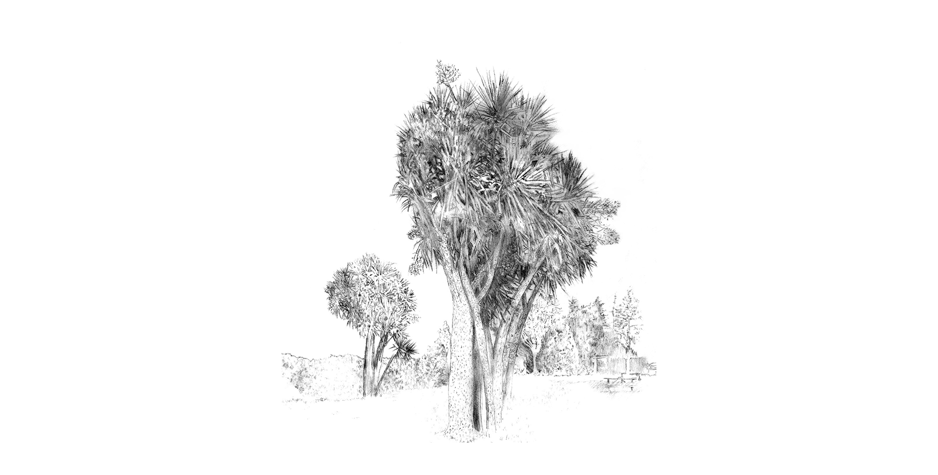 Illustration example