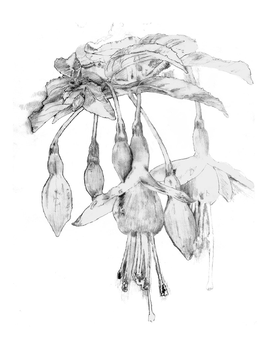 Illustration example