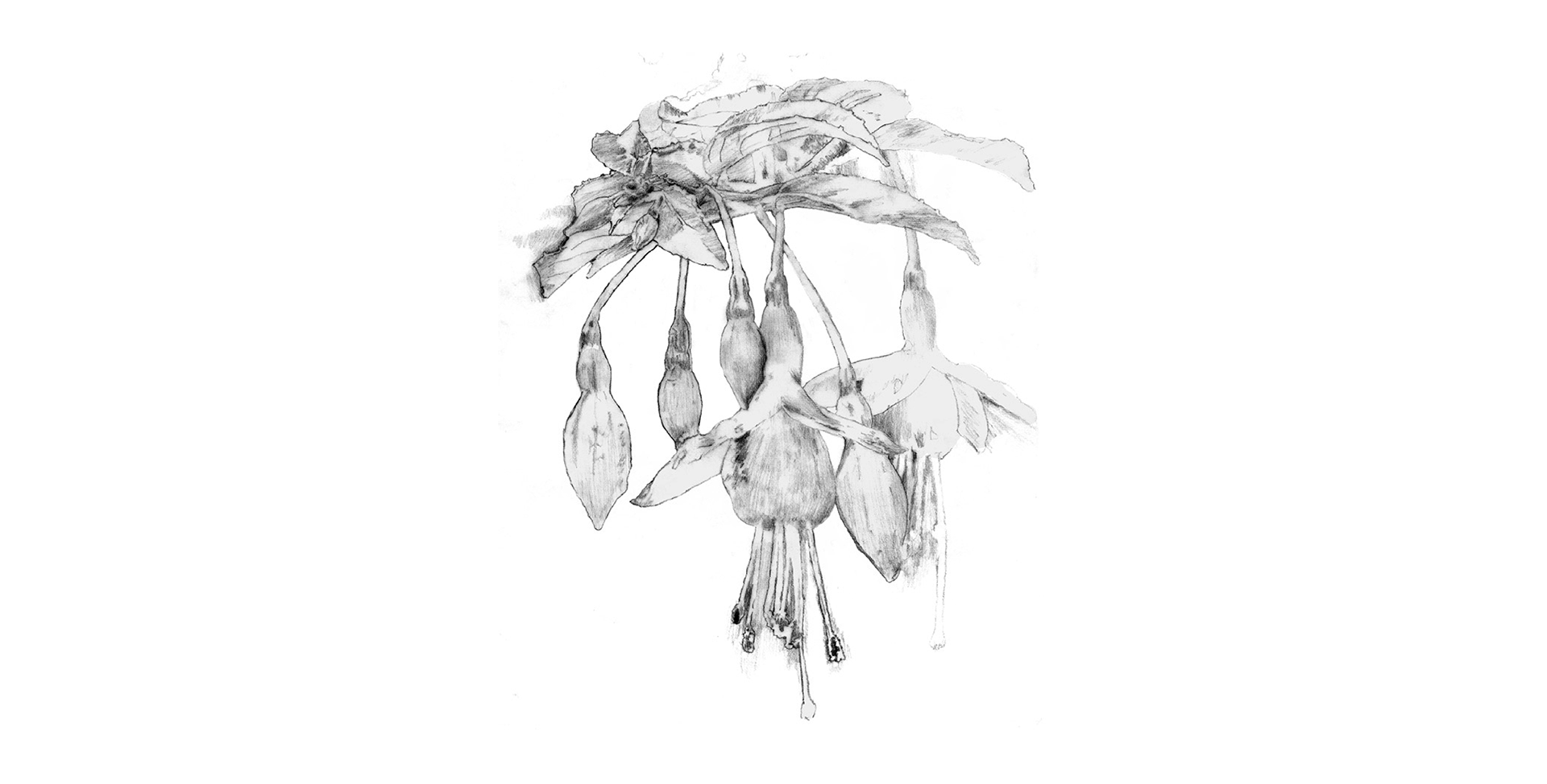 Illustration example
