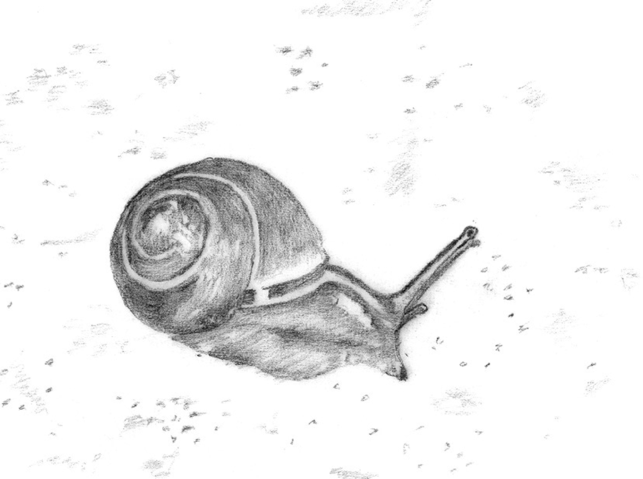 Illustration example