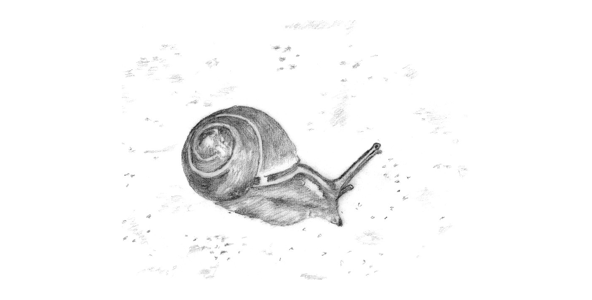 Illustration example