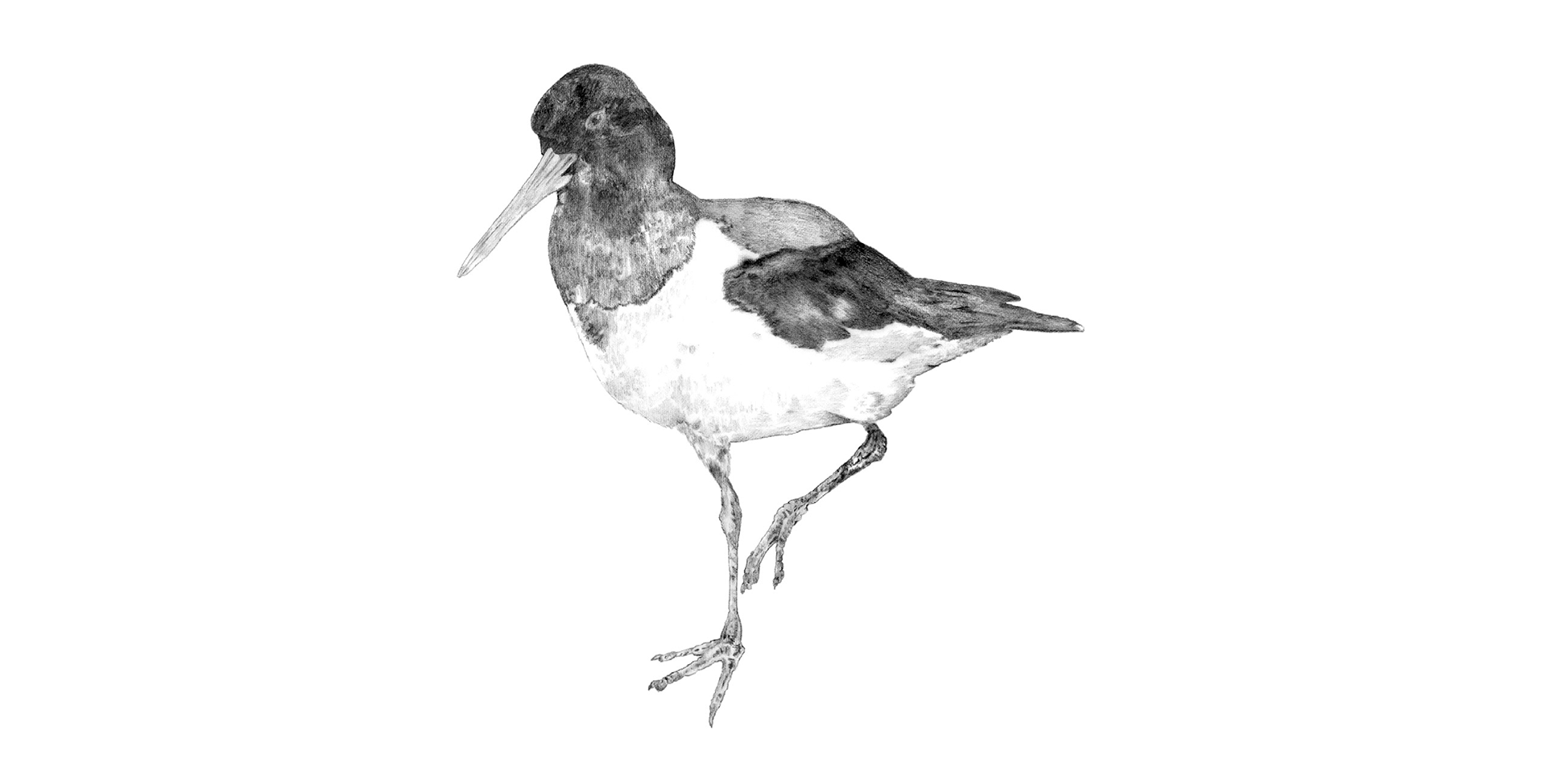 Illustration example