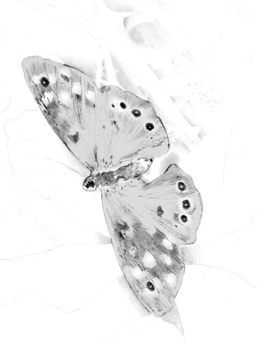 Illustration example