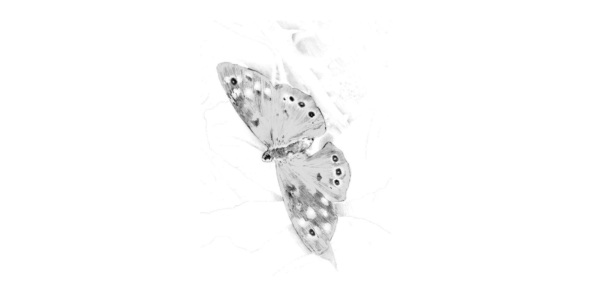 Illustration example