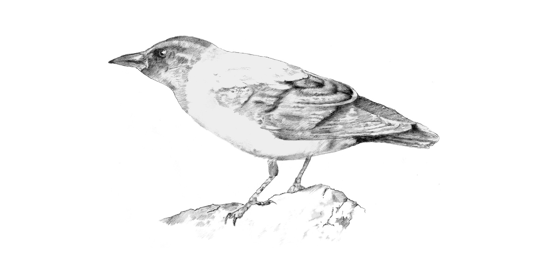 Illustration example