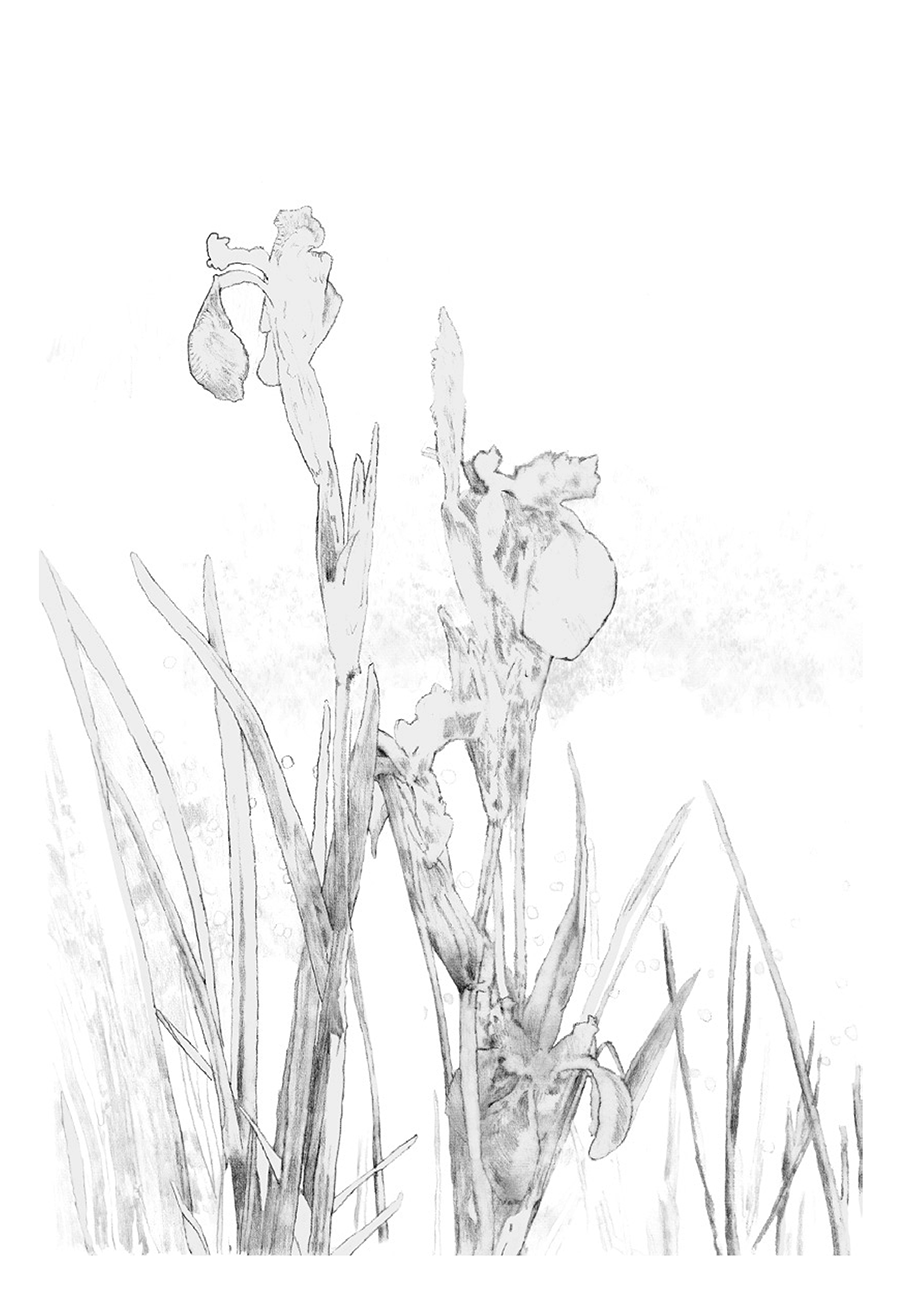 Illustration example