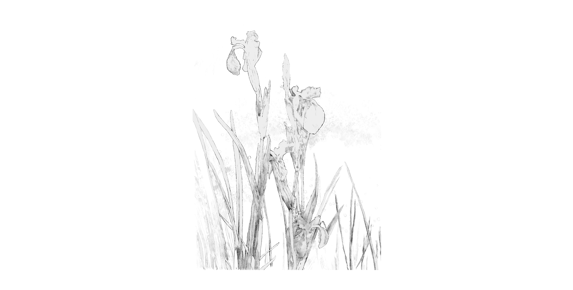Illustration example