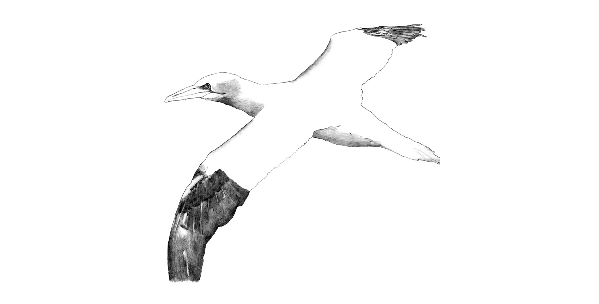 Illustration example