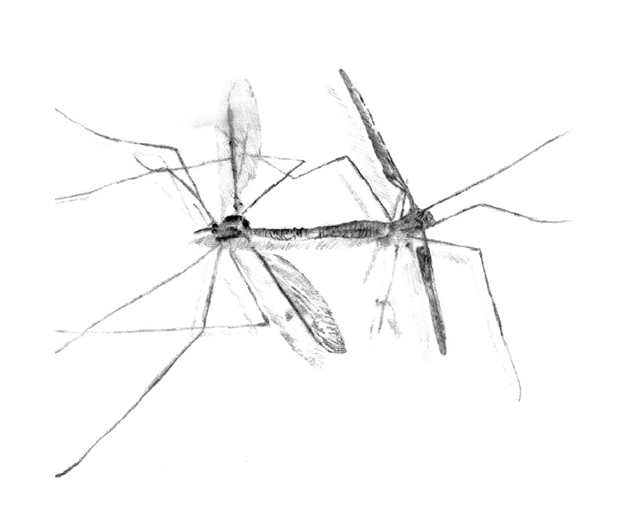 Illustration example