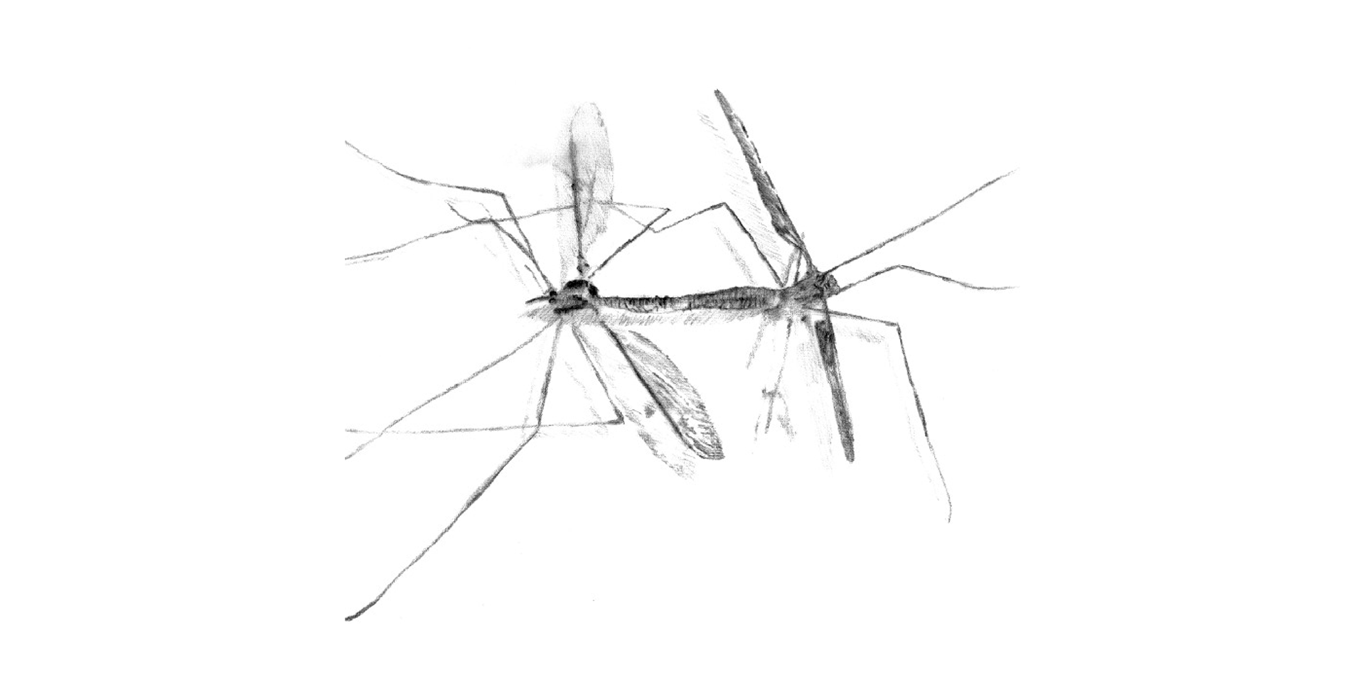 Illustration example