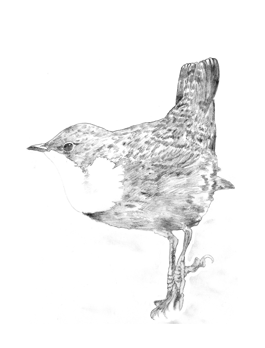 Illustration example