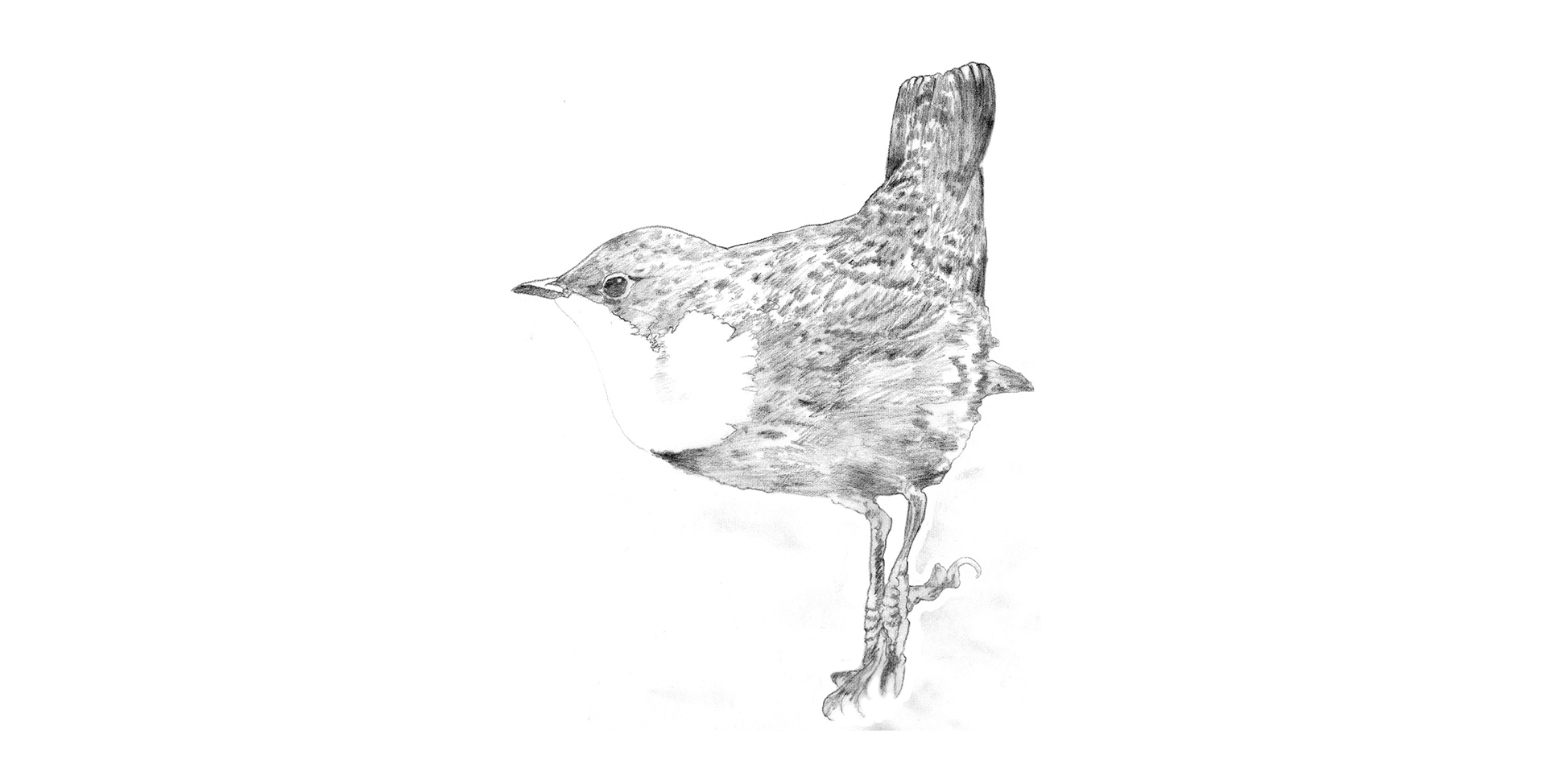 Illustration example
