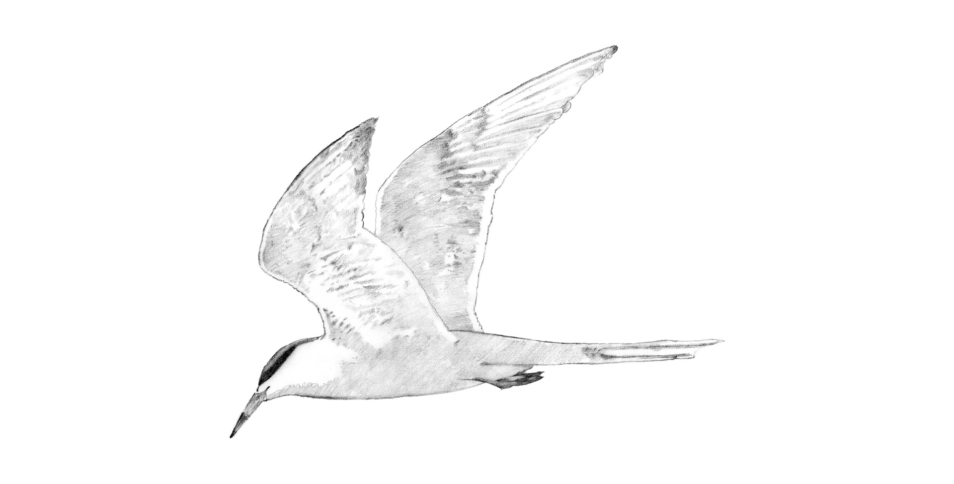 Illustration example
