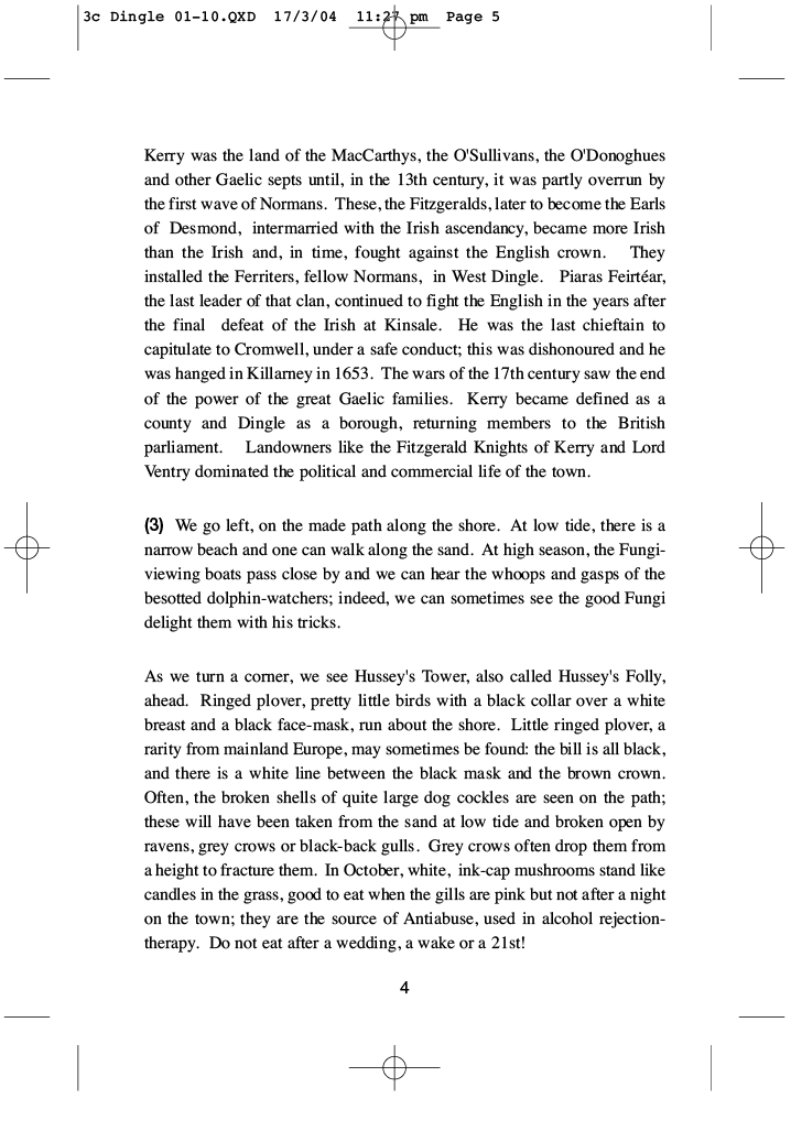 Page example