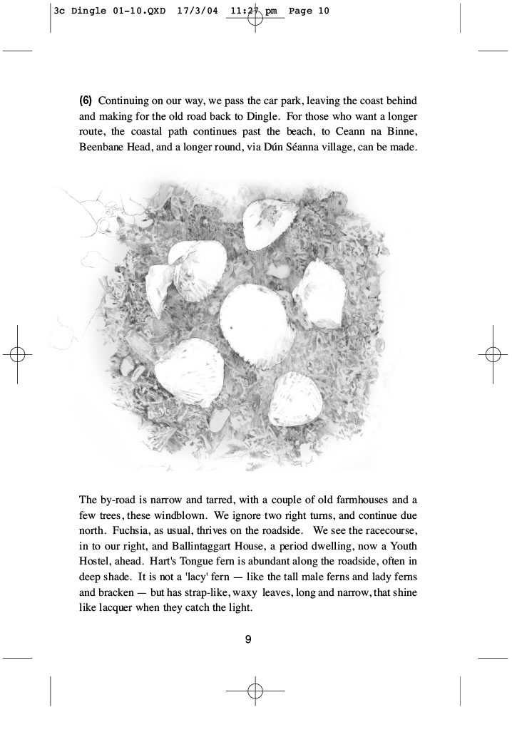 Page example