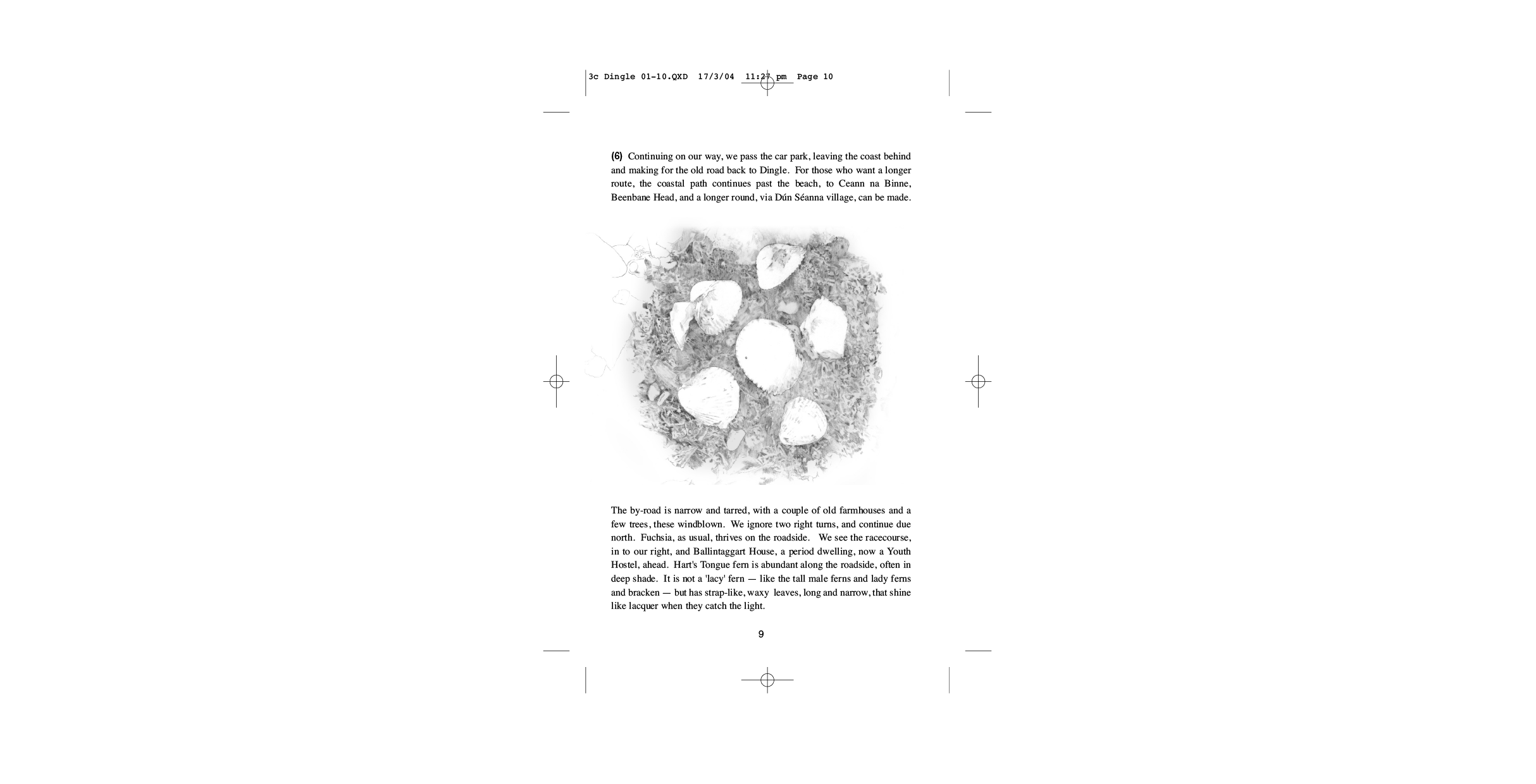 Page example