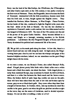 Page example