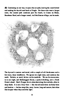 Page example