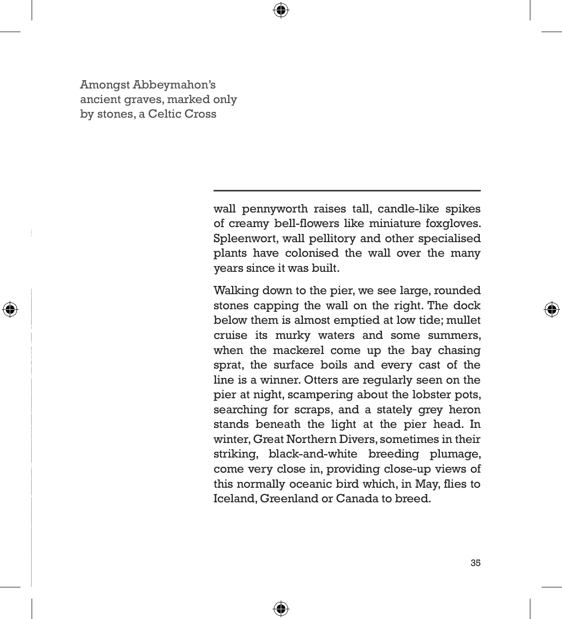 Page example