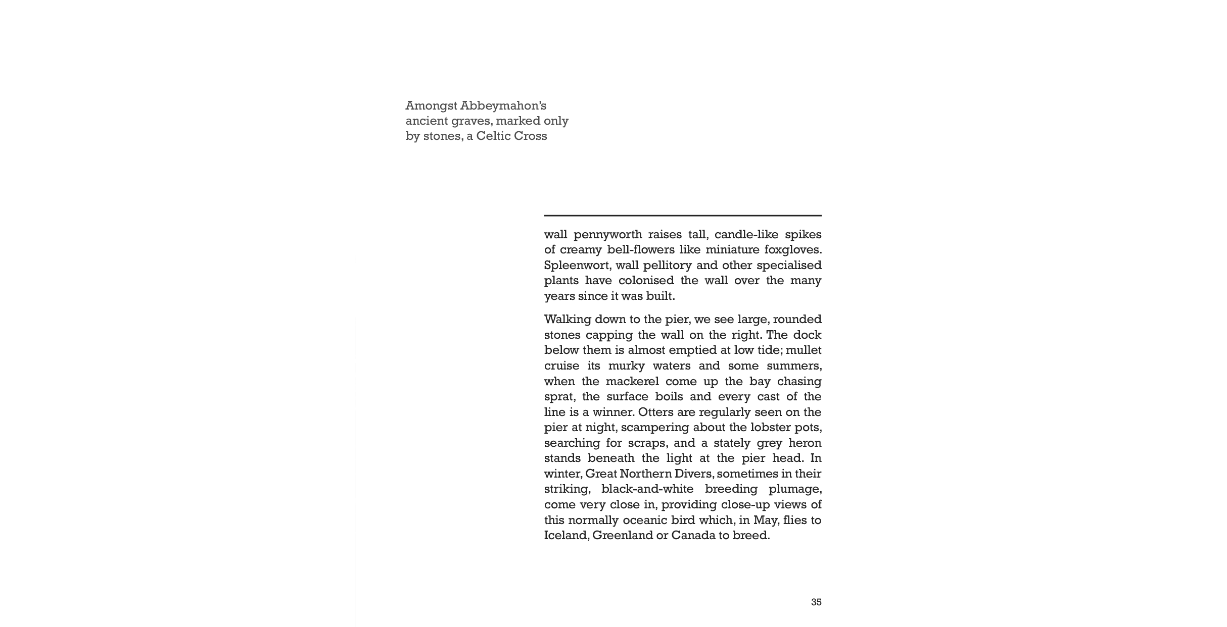 Page example
