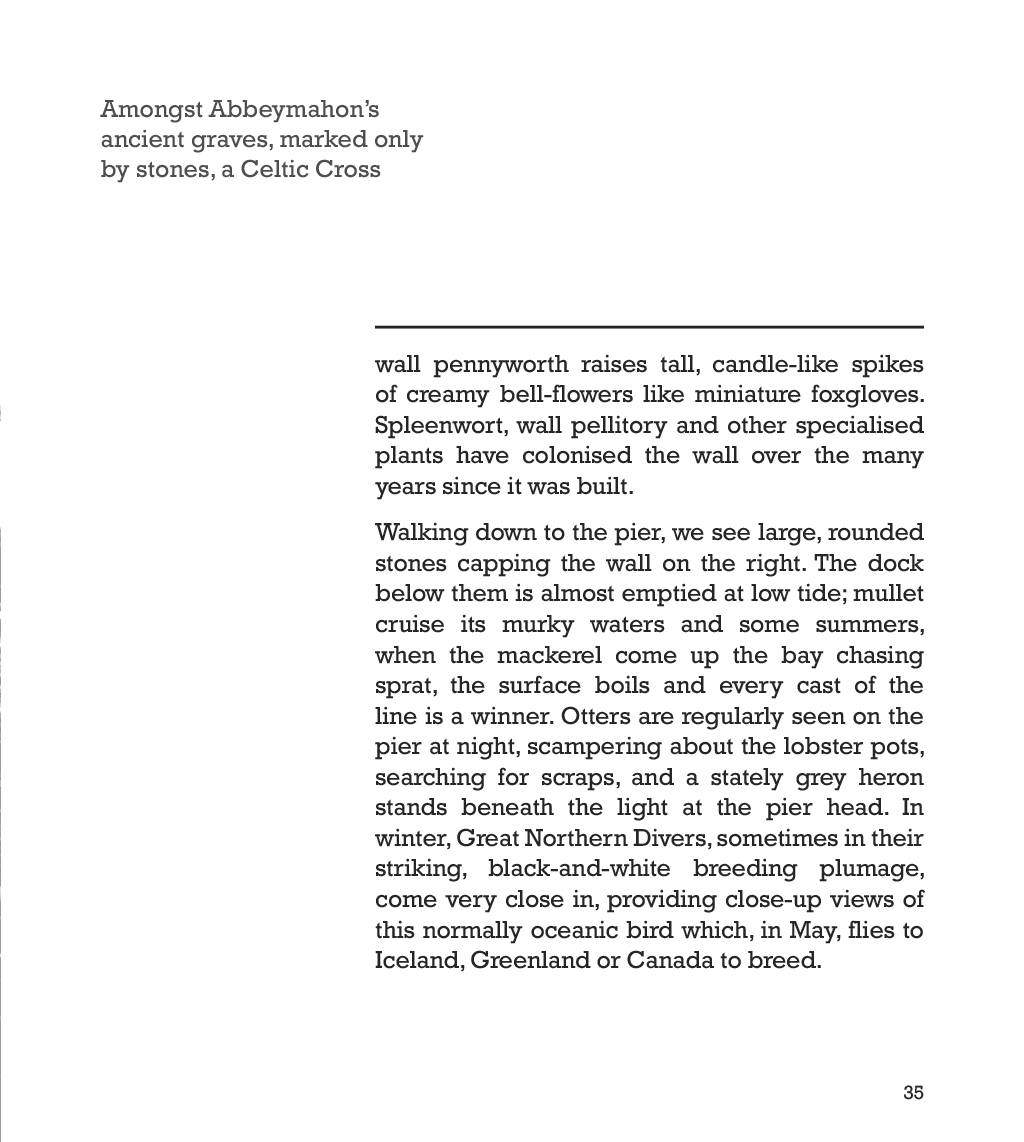 Page example