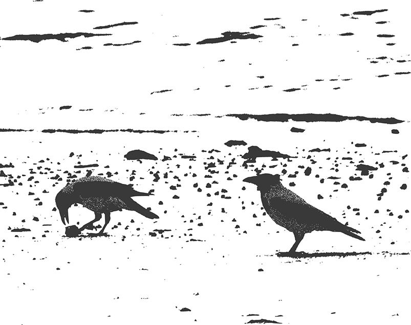 Illustration