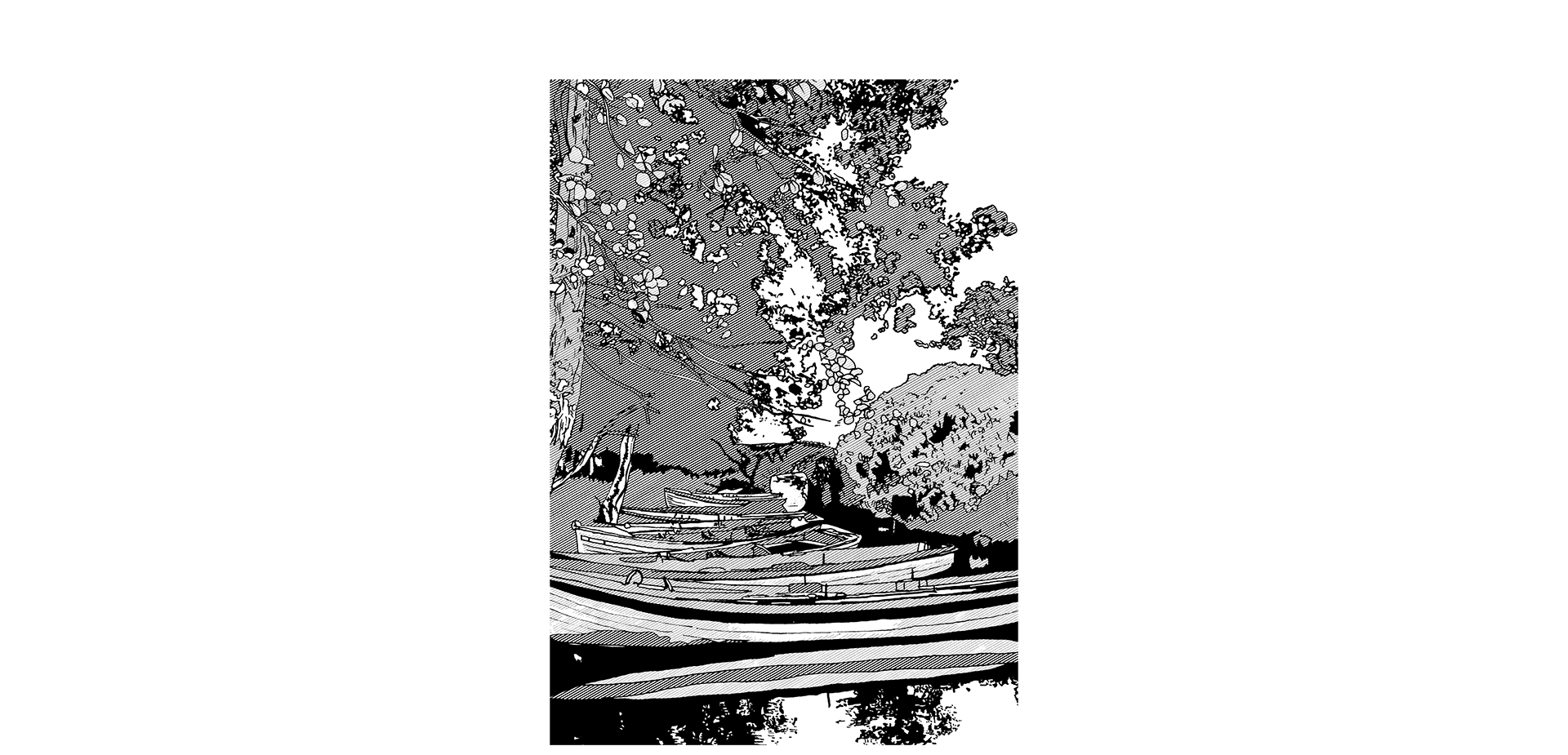 Black and white line illustration
