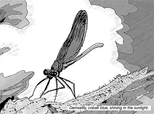 Black and white line illustration