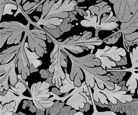 Black and white line illustration