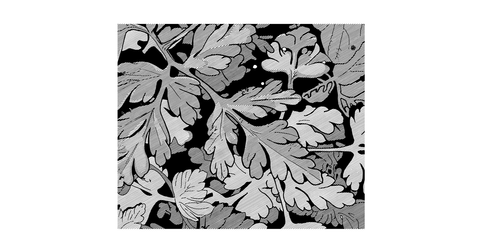 Black and white line illustration