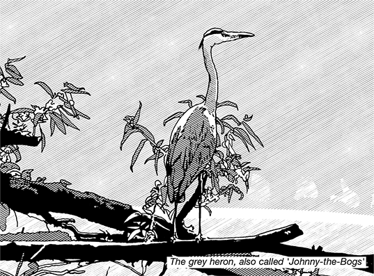 Black and white line illustration