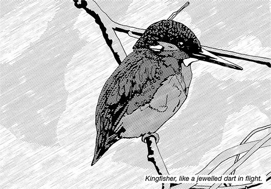 Black and white line illustration