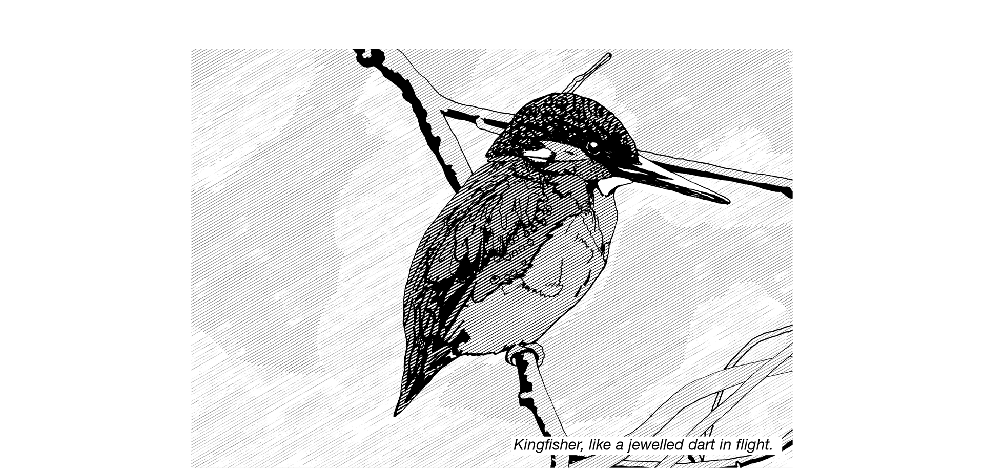 Black and white line illustration
