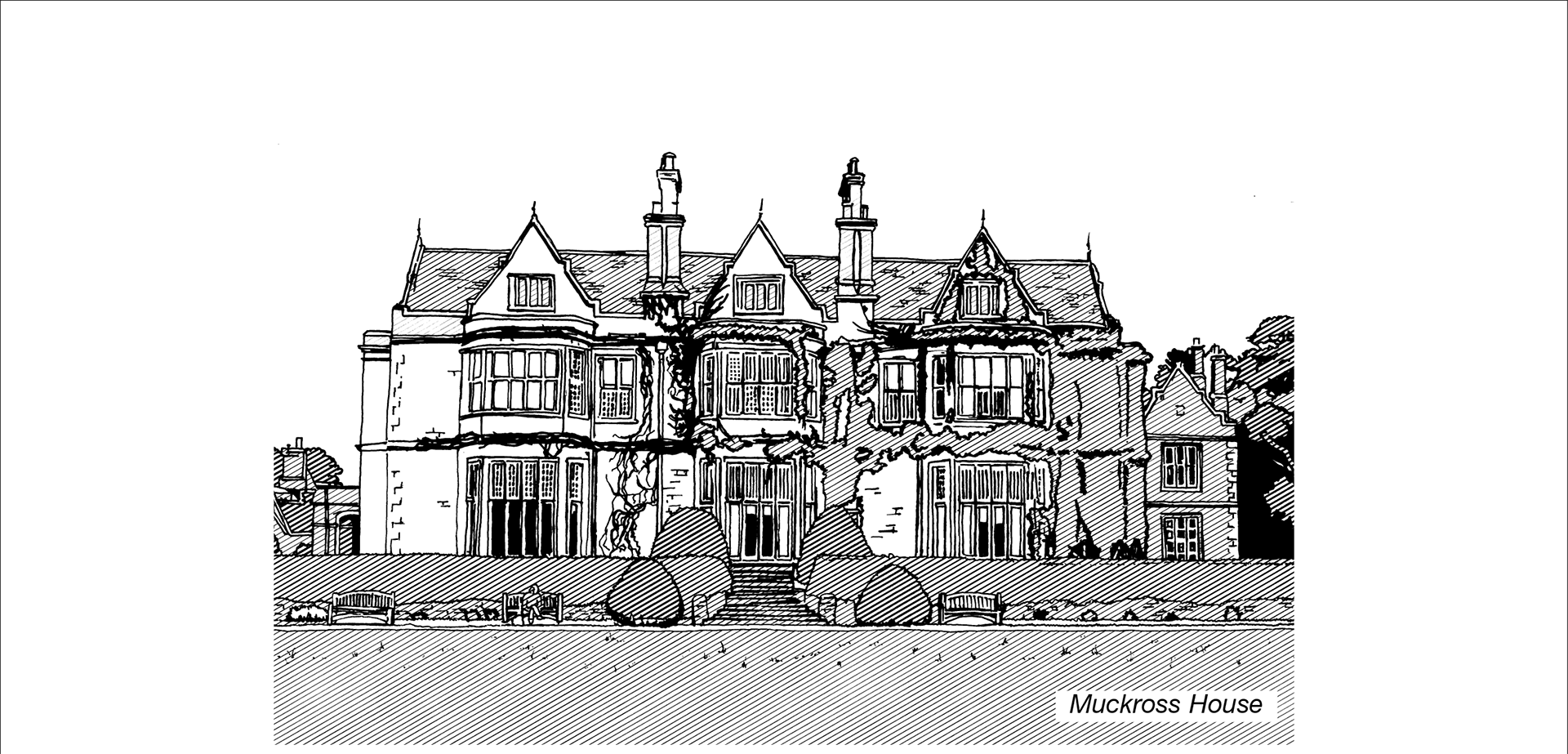 Black and white line illustration
