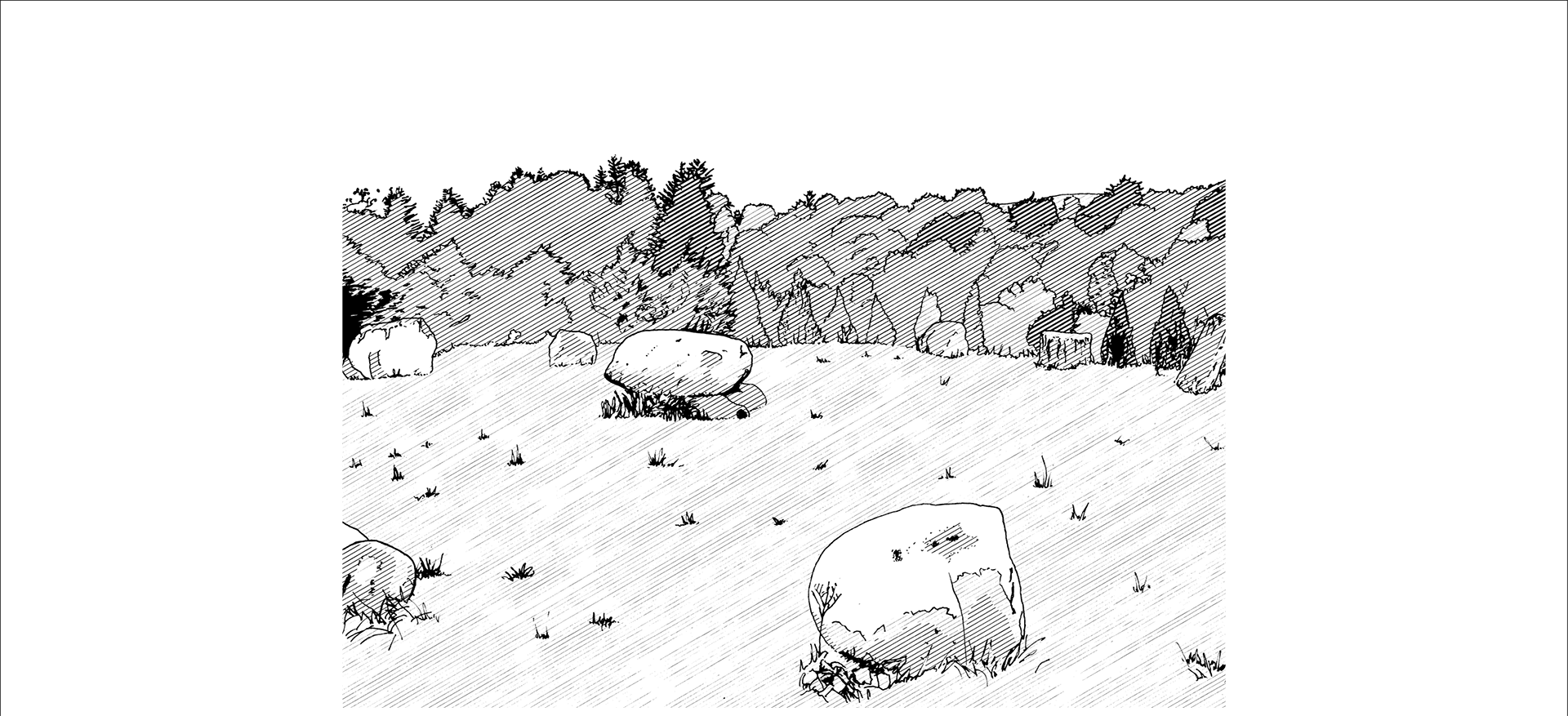 Black and white line illustration