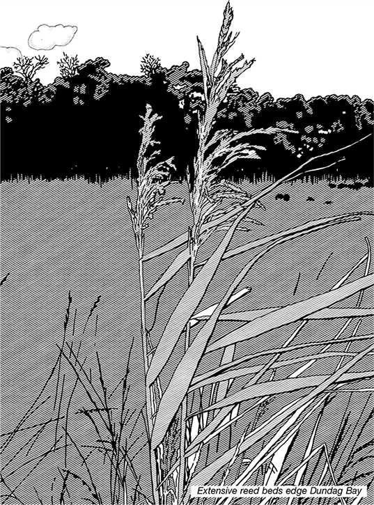 Black and white line illustration