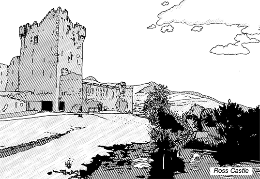 Black and white line illustration