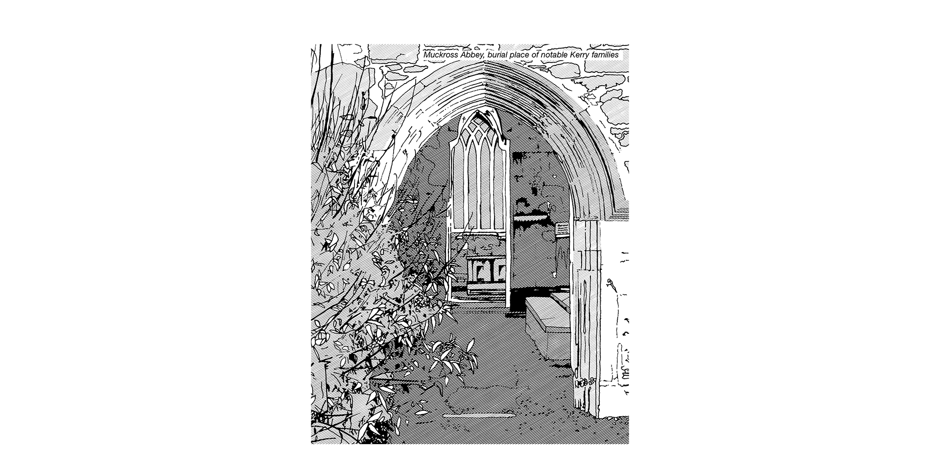 Black and white line illustration